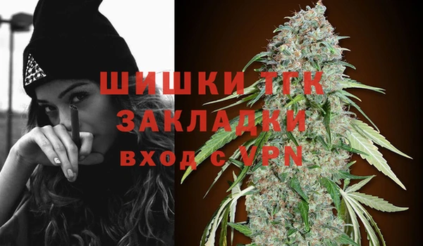 винт Богданович